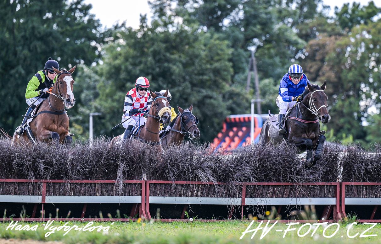 DSC_7205 kopie.jpg